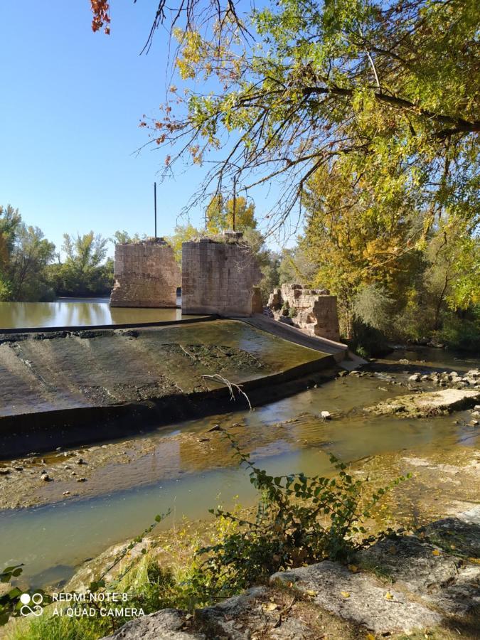San Miguel del Pino Casa Vainillaヴィラ エクステリア 写真